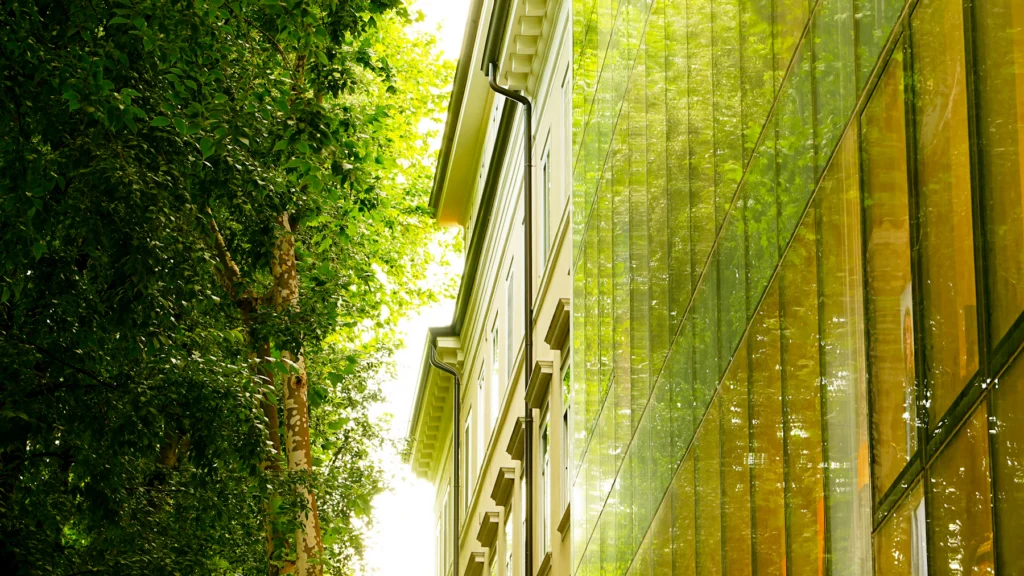 Fachada contemporánea rodeada de árboles y reflejos, ejemplo de integración entre arquitectura y naturaleza.