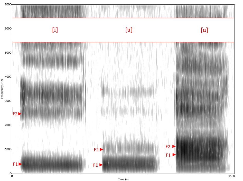 Espectrograma de tres vocales con bandas que muestran sus primeros formantes